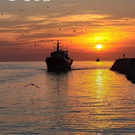 Les Pieds Dans Le Sable Vue 1 1 * Le Grau-du-Roi
