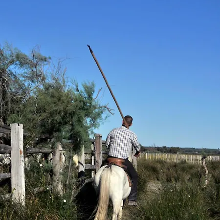Les Pieds Dans Le Sable Vue 1 1 Apartamento *